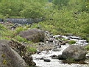 2006-05-30 006.JPG